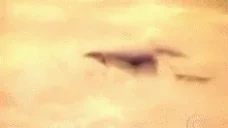 FAUSTAO emote for Discord