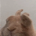 FAST_VIBE emote for Discord