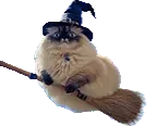 fatasswitchwithabroomfliesaway emote for Discord