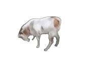 Faint emote for Discord
