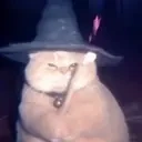 fatasswizardcastsrosegift emote for Discord