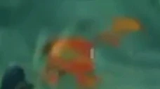 fastSpin emote for Discord