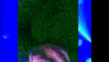 Falah5othcombo emote for Discord