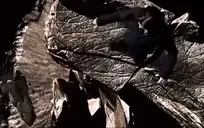 Fall emote for Discord