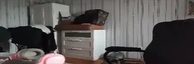 fab emote for Discord