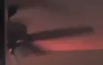 fan emote for Discord