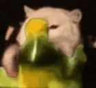 FantaShakey emote for Discord