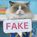 FAKE emote for Discord