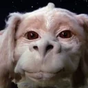 falcorwink emote for Discord