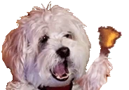 FarleyDinkDonk emote for Discord