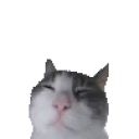 Falso emote for Discord