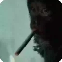 FazzikSmoking emote for Discord