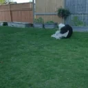 FaithSilly emote for Discord