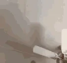 fakkahan emote for Discord