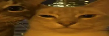 fafikwybuh emote for Discord