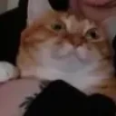 fairyCHUNKO emote for Discord