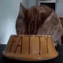 fatty emote for Discord