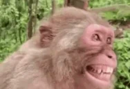 fakelol emote for Discord