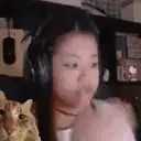 fatcatHmm emote for Discord