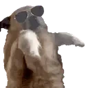 FasaJamCool emote for Discord