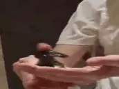 fabriFoam emote for Discord