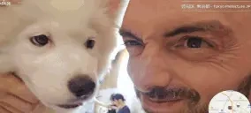 fabriPupino emote for Discord