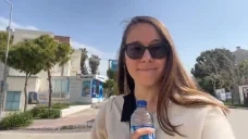 farySpin emote for Discord