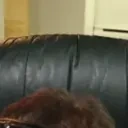 farcCreep emote for Discord