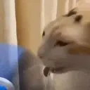 fanBlehing emote for Discord