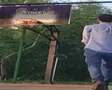 fabriGoat emote for Discord