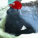 faxx emote for Discord