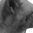 FastHUHbutdeadge emote for Discord