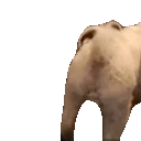 FarleyPooters emote for Discord