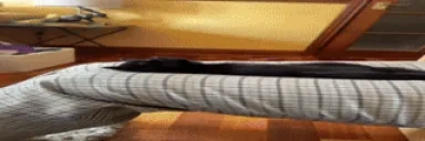 faded emote for Discord