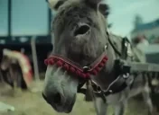 Eshaklooking emote for Discord