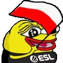 eslPLflag emote for Discord