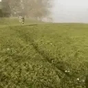 EshakArrive emote for Discord