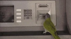 Estafajaro emote for Discord