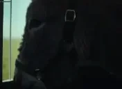 EshakLookingForFreedom emote for Discord