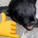 eshkere emote for Discord