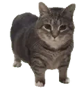 Ethel emote for Discord