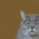 EtoMozhnoNapisatBukvami emote for Discord