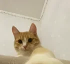 EtaQuant emote for Discord