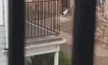 ESCAPE emote for Discord