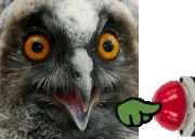 EulexoButton emote for Discord