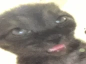 Euh emote for Discord