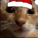 euh emote for Discord