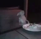 EUTOLOCO emote for Discord