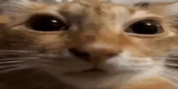 euuh emote for Discord