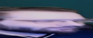 EugeneJAM emote for Discord